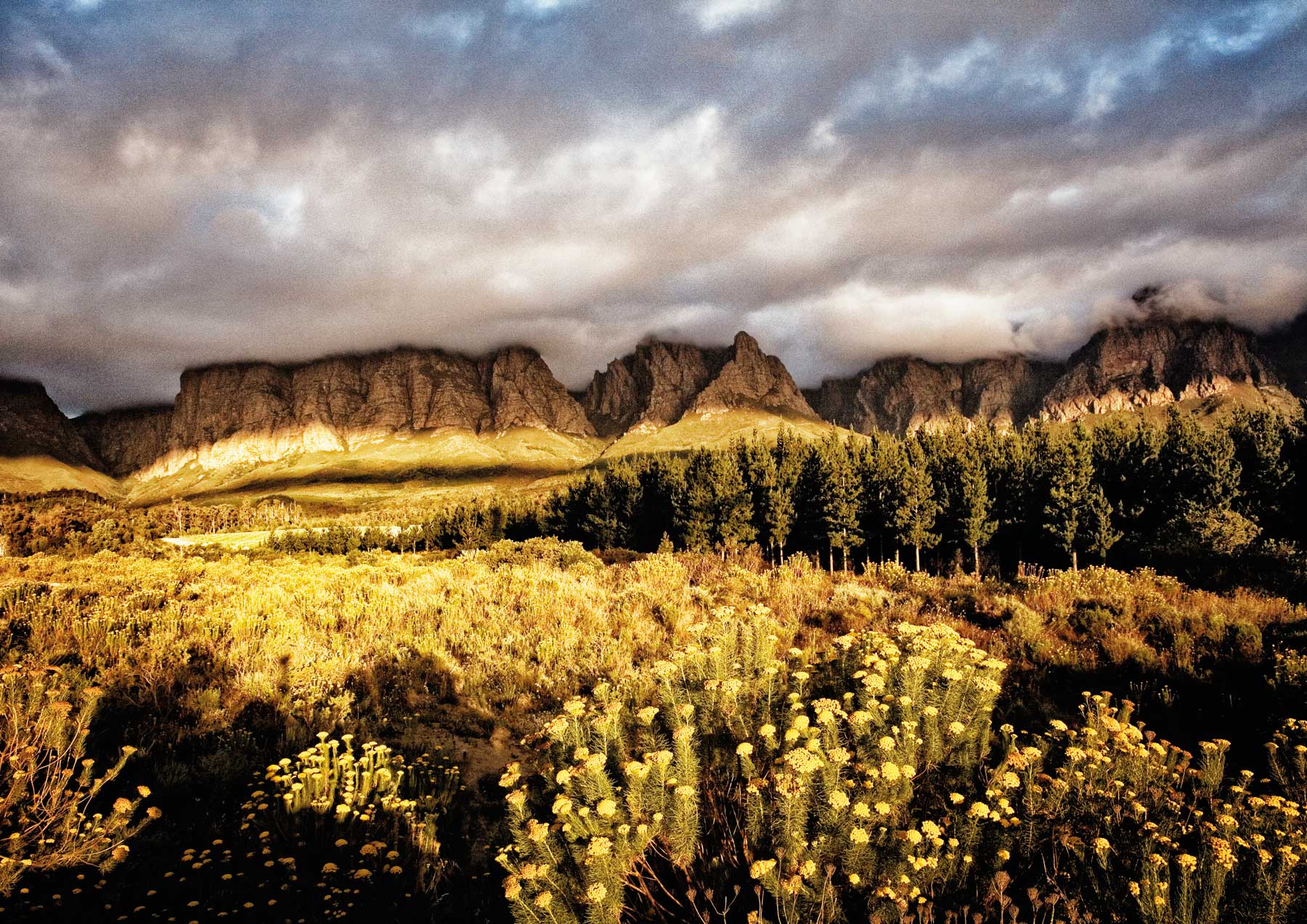 South-Africa16-L_1