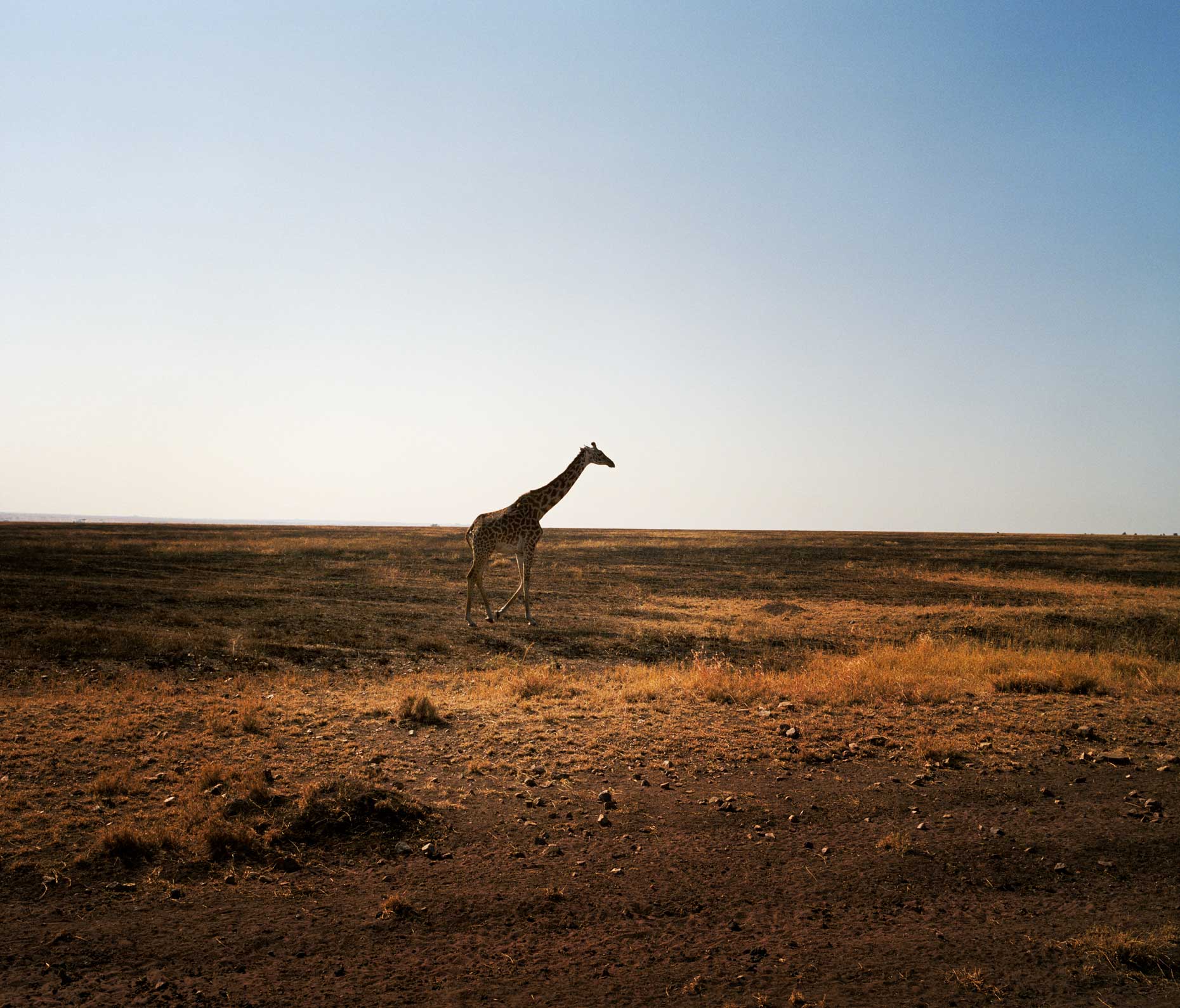 Tanzania10
