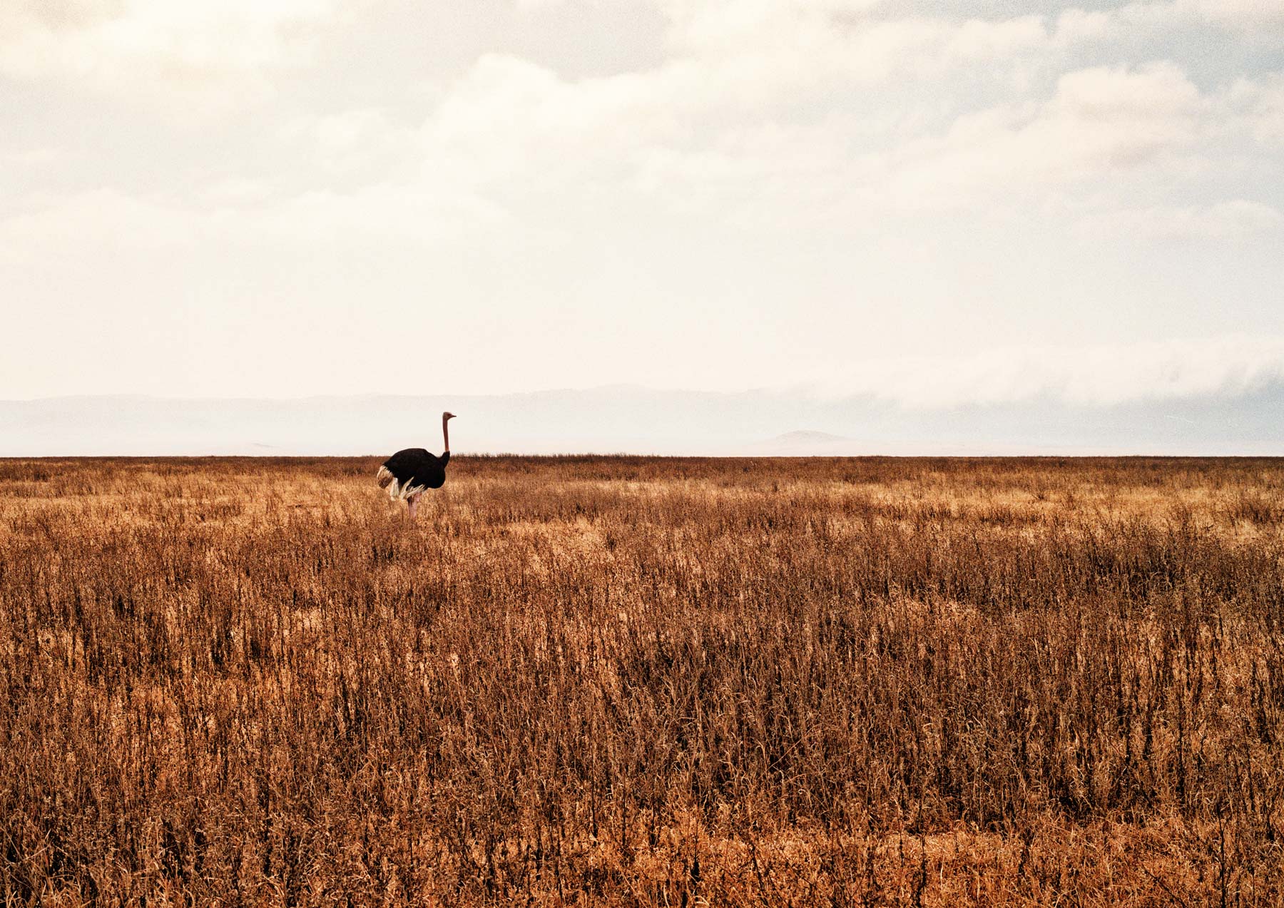 Tanzania13-L_1