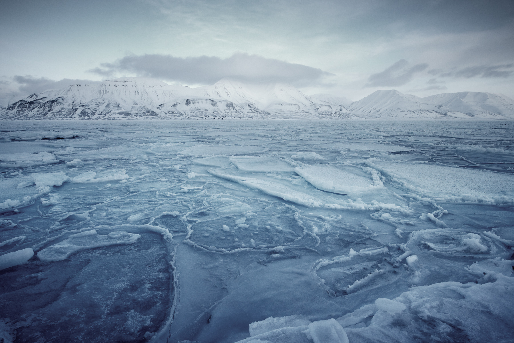 spitsbergen010.jpg